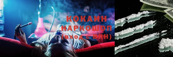 стафф Алексин