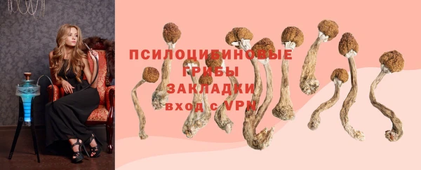амф Алзамай