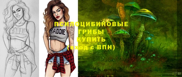 прущий лед Абаза