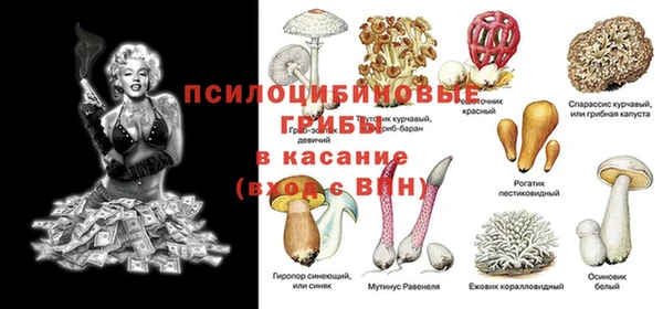 амф Алзамай