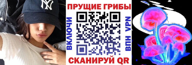 Псилоцибиновые грибы GOLDEN TEACHER  Нижнекамск 